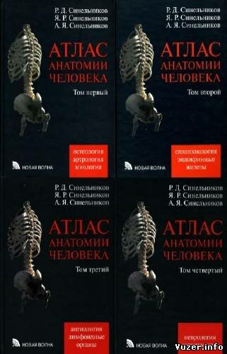 Синельников Р., Синельников Я.. Атлас анатомии человека в 4 томах