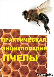 Практическая энциклопедия пчелы. Коллектив авторов