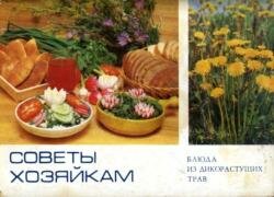 Стекольников Л. - Советы хозяйкам. Блюда из дикорастущих трав (1985)